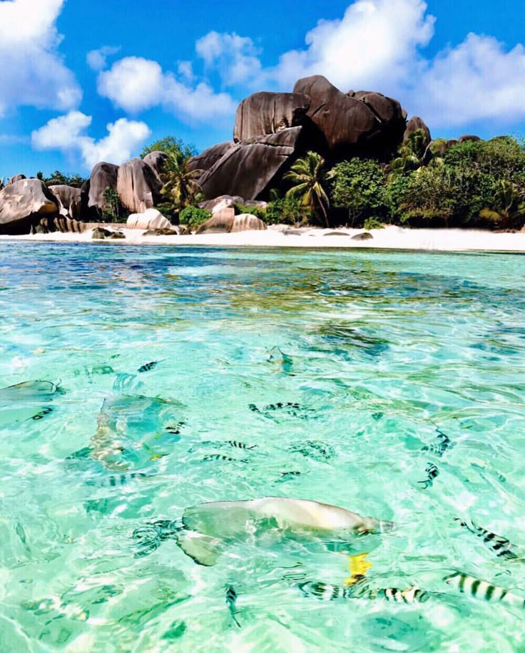 Seychelles Island Getaway